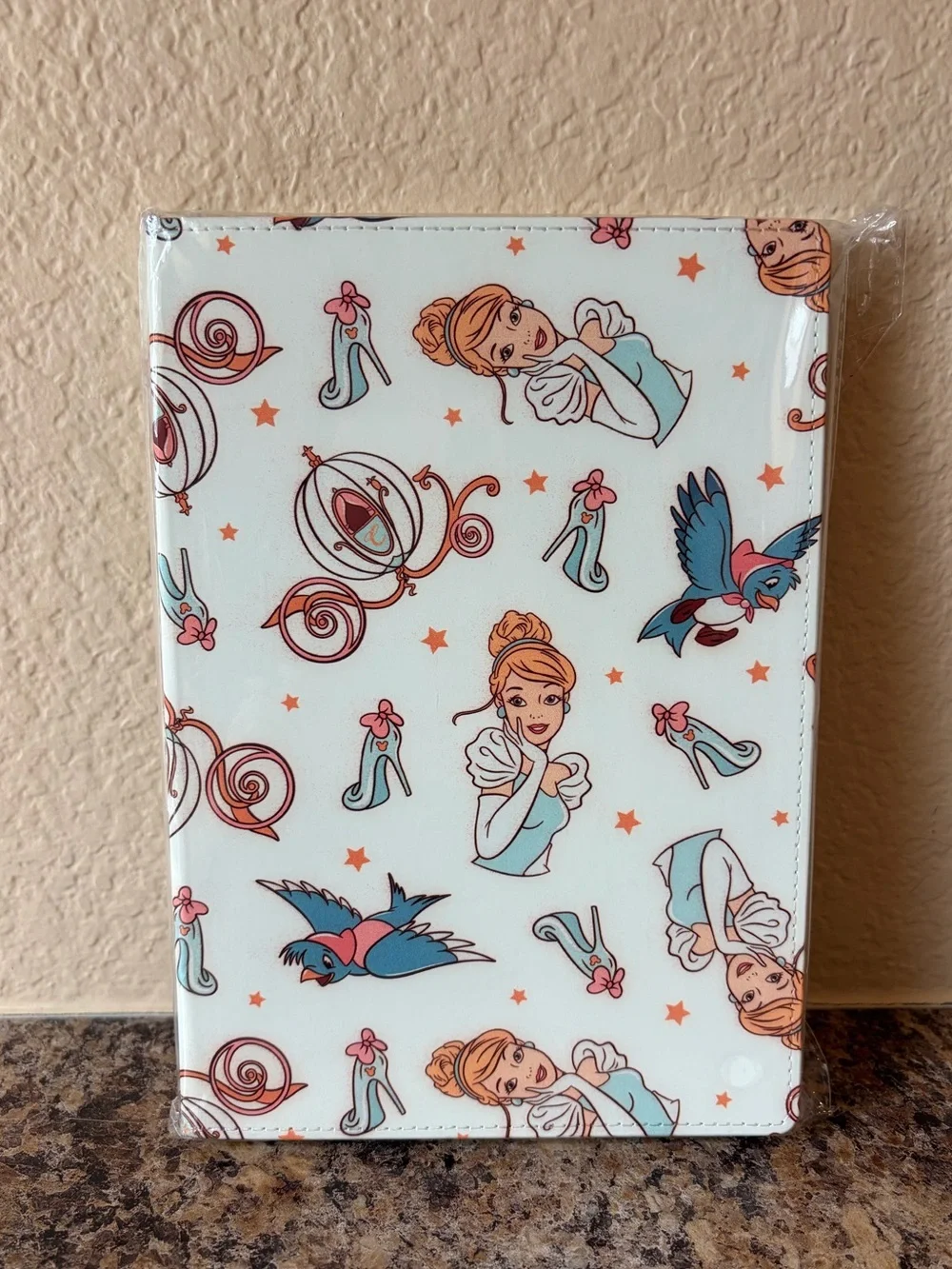 🏰Disney Cinderella-Themed Decorative Journal